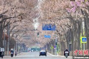 池州共建“花园城市” 北京这场议政会“百花齐放”